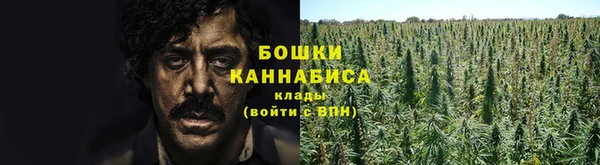 ПСИЛОЦИБИНОВЫЕ ГРИБЫ Майский