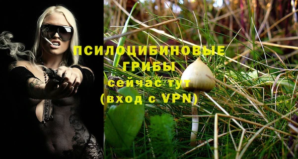 ПСИЛОЦИБИНОВЫЕ ГРИБЫ Майский